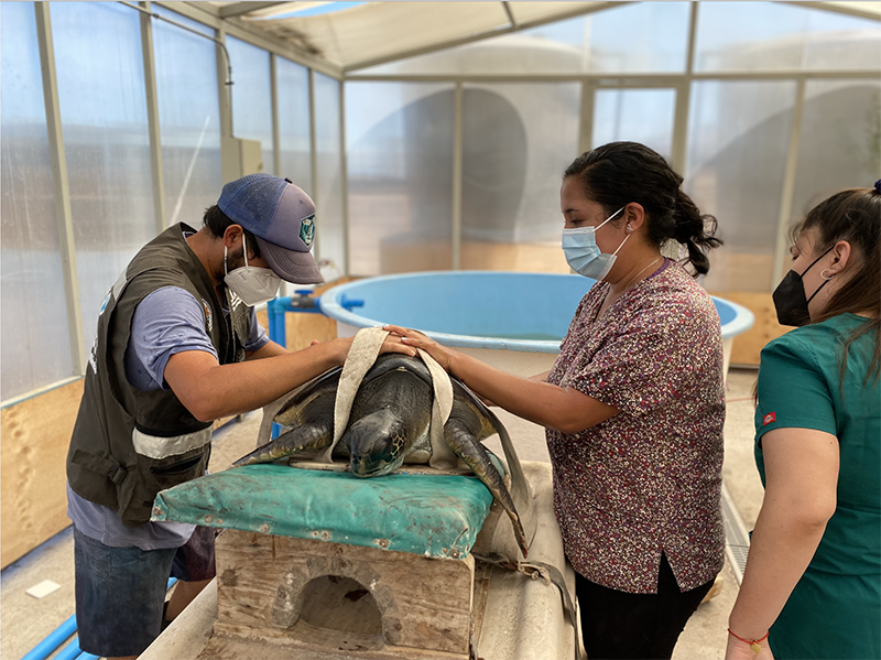 Centro de Rescate y su potente llamado a conocer la biodiversidad regional para protegerla
