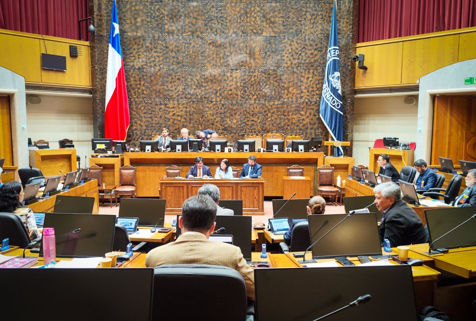 Discusión presupuestaria: Gobernador Regional exige normativa que permita destrabar los recursos del litio para resolver brechas