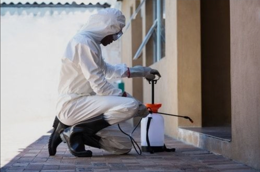 Salud aplica estrategia de fumigación residual en focos de mosquito Aedes Aegypti