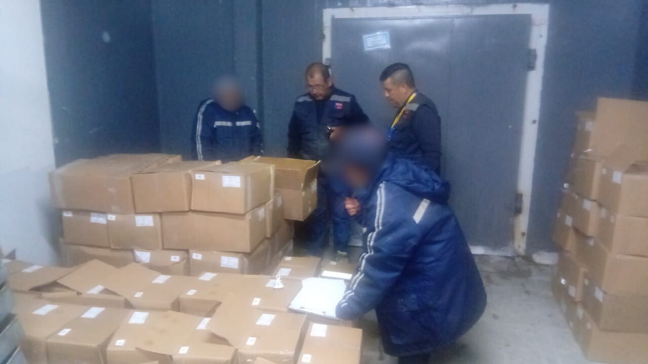 Detectan 250 kilos de jibia sin acreditación de origen legal en fiscalización a plantas de Tocopilla