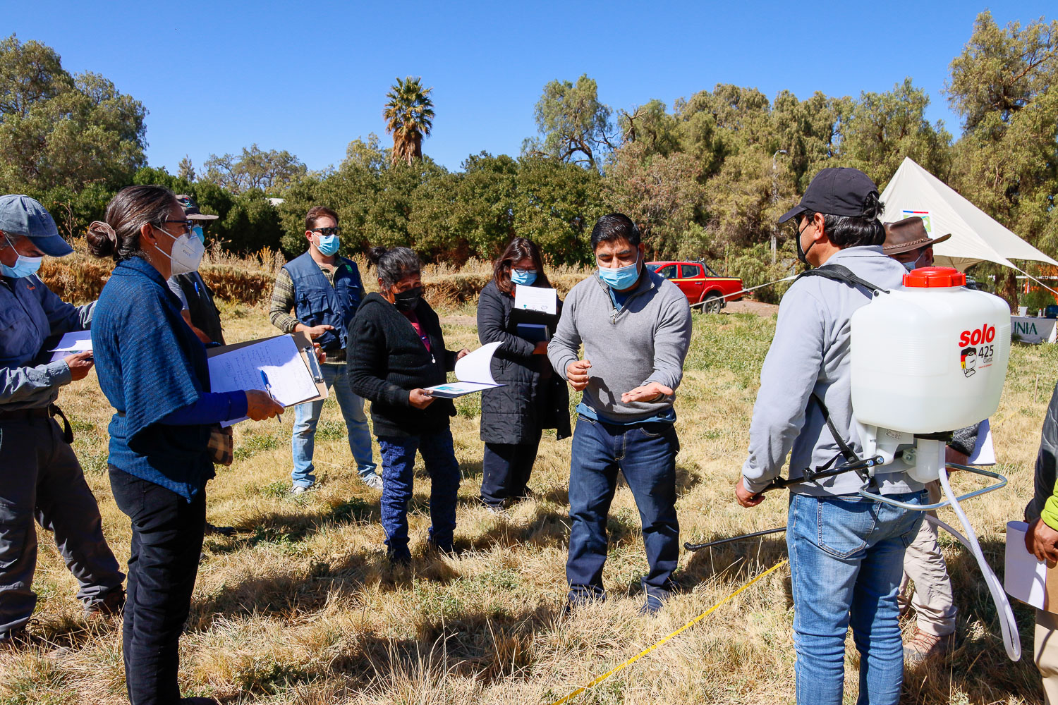 Productores aprenden a utilizar herramientas para el control de la Mostaza Negra