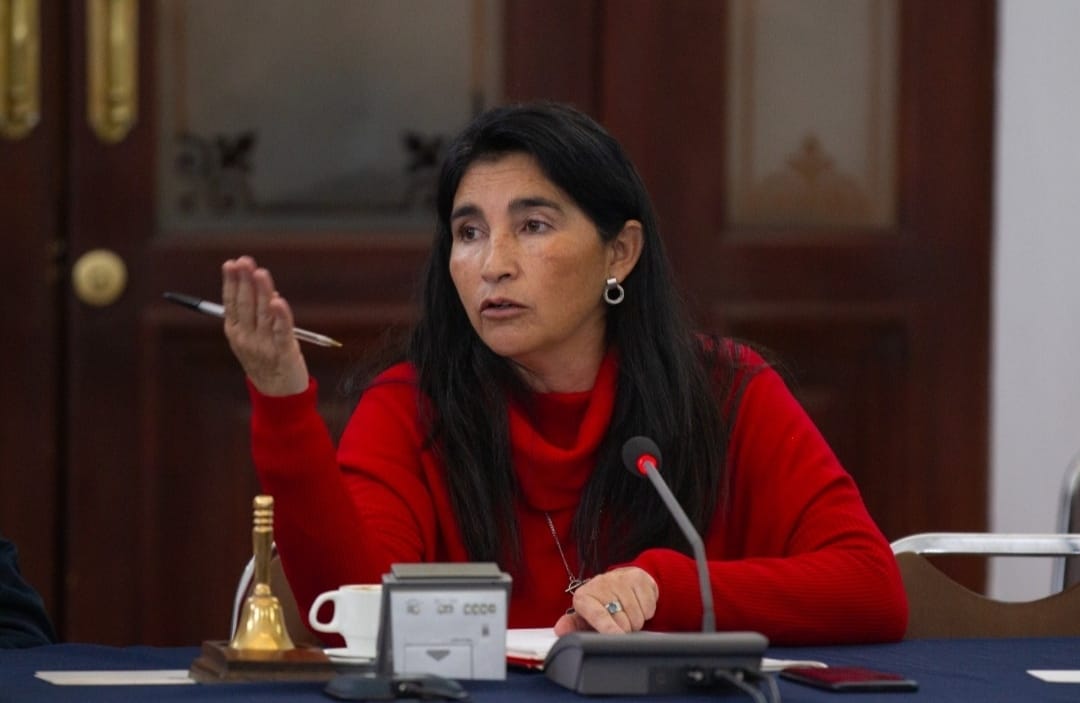 Diputada Ahumada oficia a Hospital de Antofagasta por denuncia de negligencia en alimentación de paciente lactante