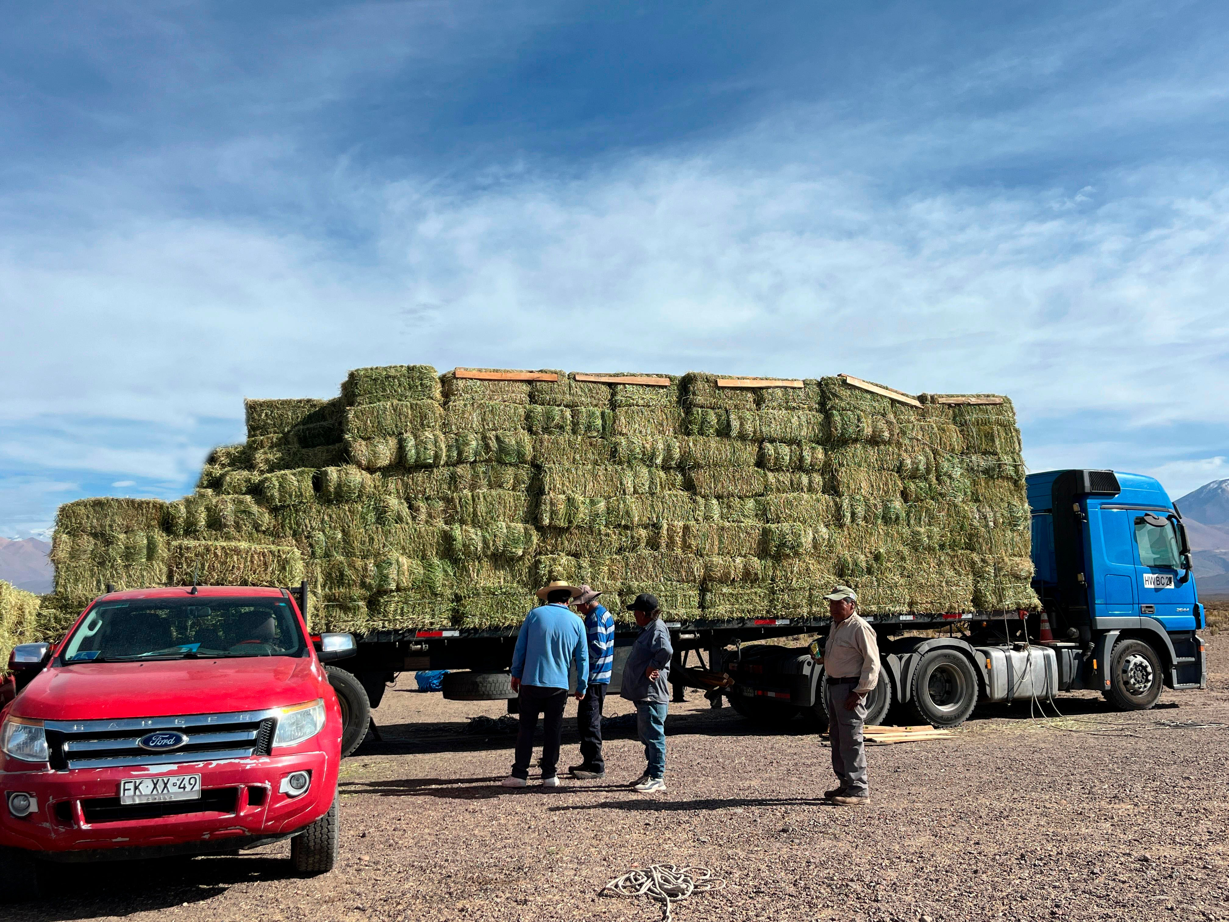 Codelco refuerza apoyo a ganaderos de Alto El Loa con entrega de 20 mil fardos ante invierno altiplánico