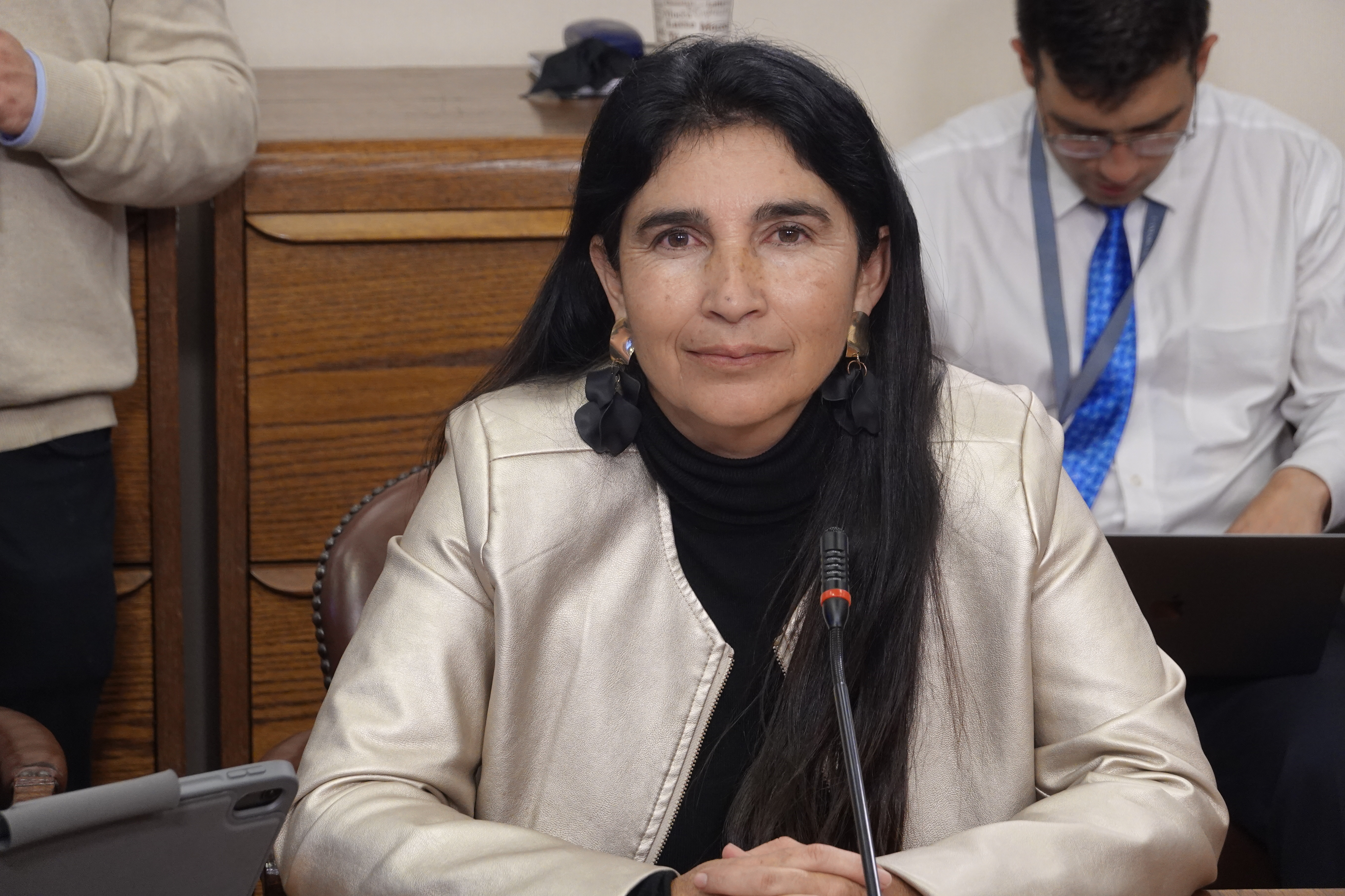 Diputada Ahumada exige intervención en sector Los Arenales: “No podemos permitirnos tener un Temucuicui en Antofagasta”