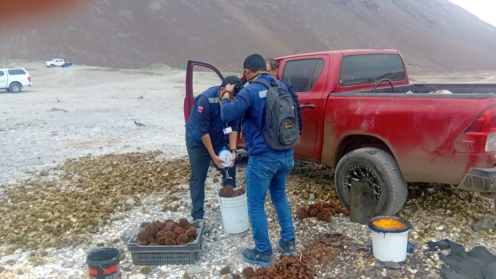 Fiscalizaciones en Tocopilla culminan con cerca de 8 toneladas de recursos incautados