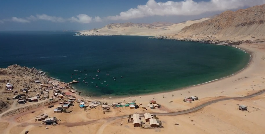 Proyecto acuícola minero inició producción de especies marinas en costa de Taltal
