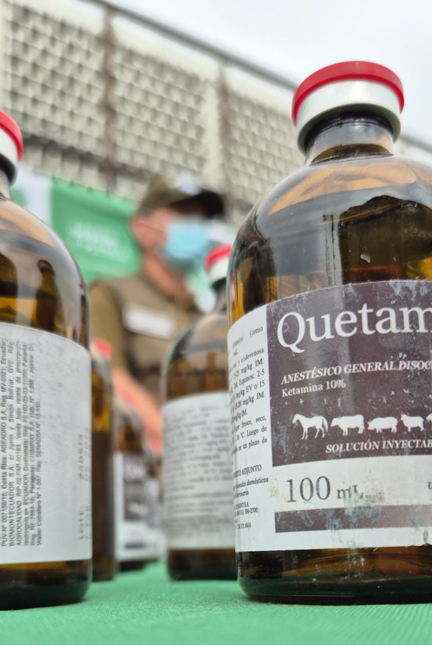 Carabineros del OS7 concreta nuevo procedimiento antidrogas: En control carretero incauta más 1.8 millones de pesos en droga