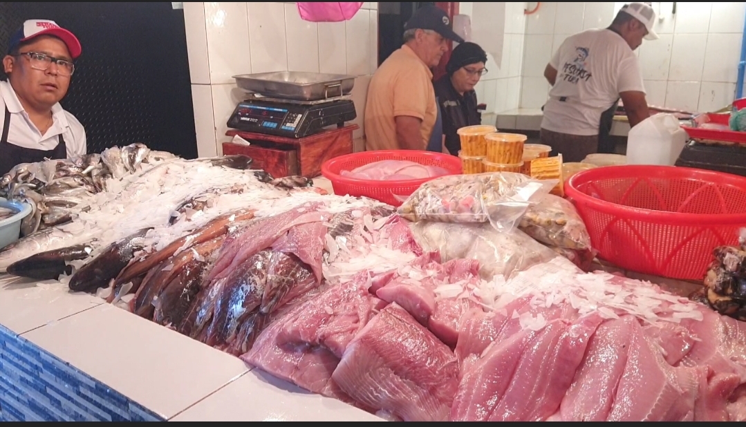 Fallas recurrentes en infraestructura, cadena de frío, pescados con vísceras y trazabilidad