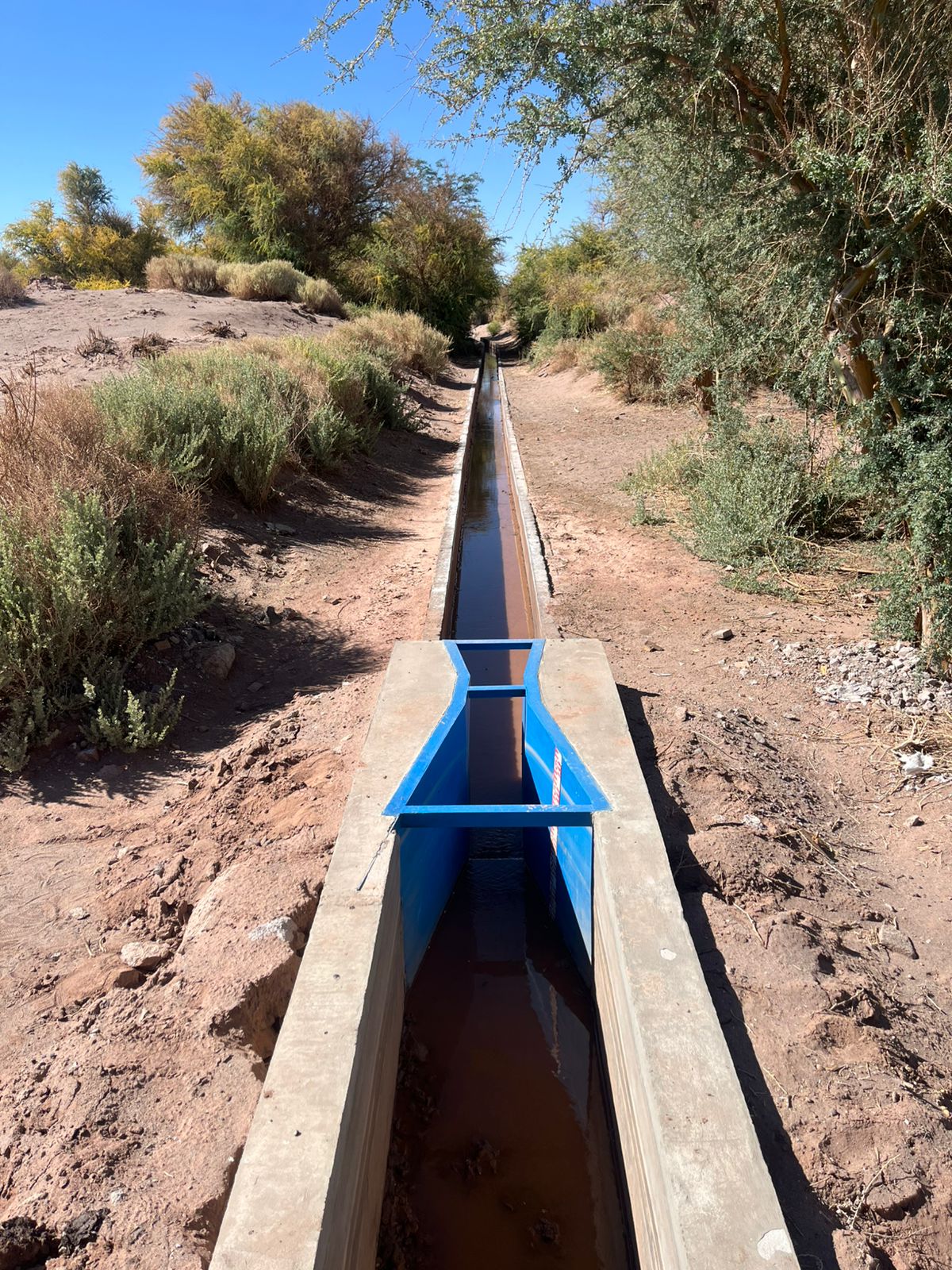 De California a El Loa: la alianza que buscó fortalecer la agricultura del desierto