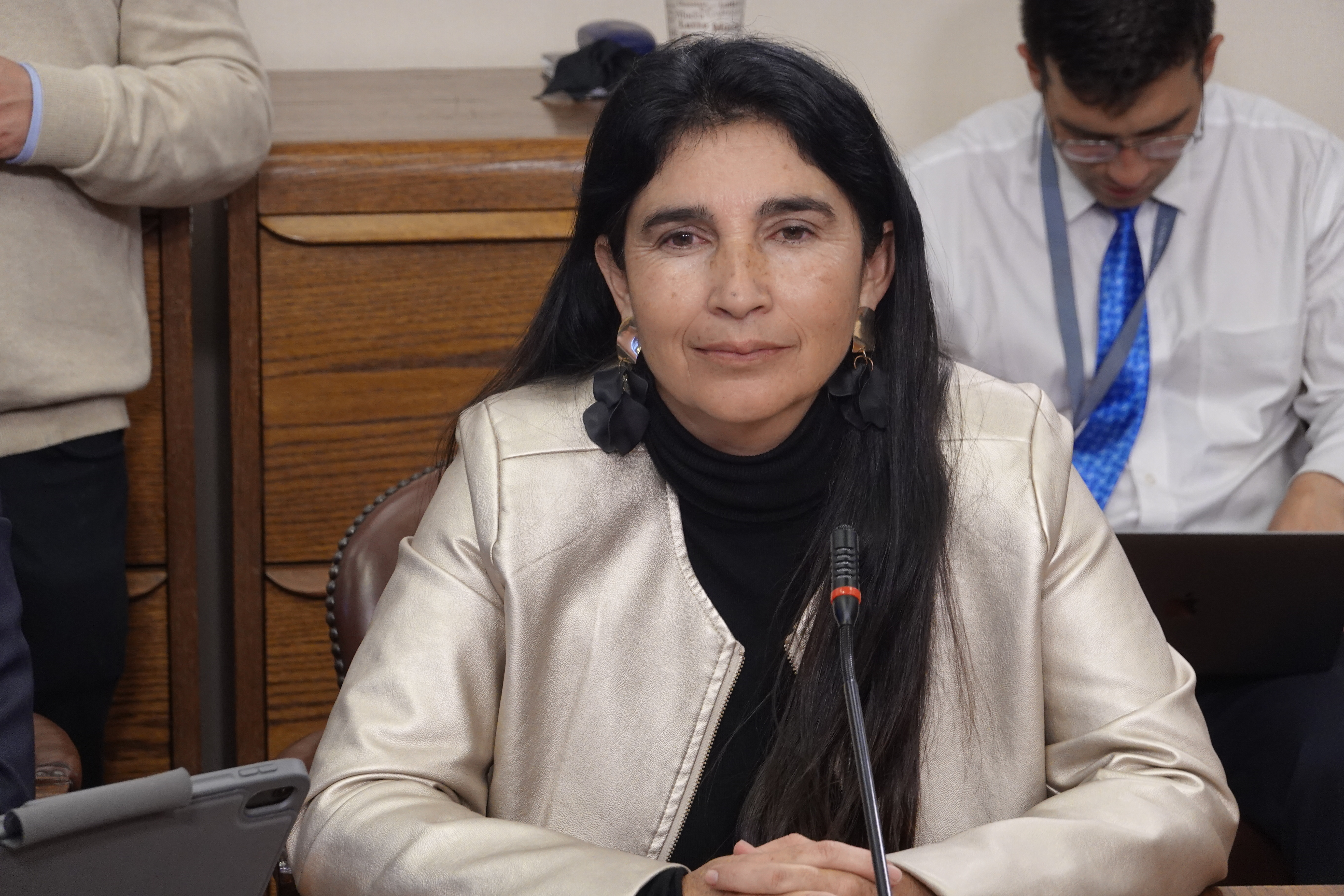 Diputada Ahumada llama al Gobierno recuperar la cancha tomada en la población Oasis del sector norte