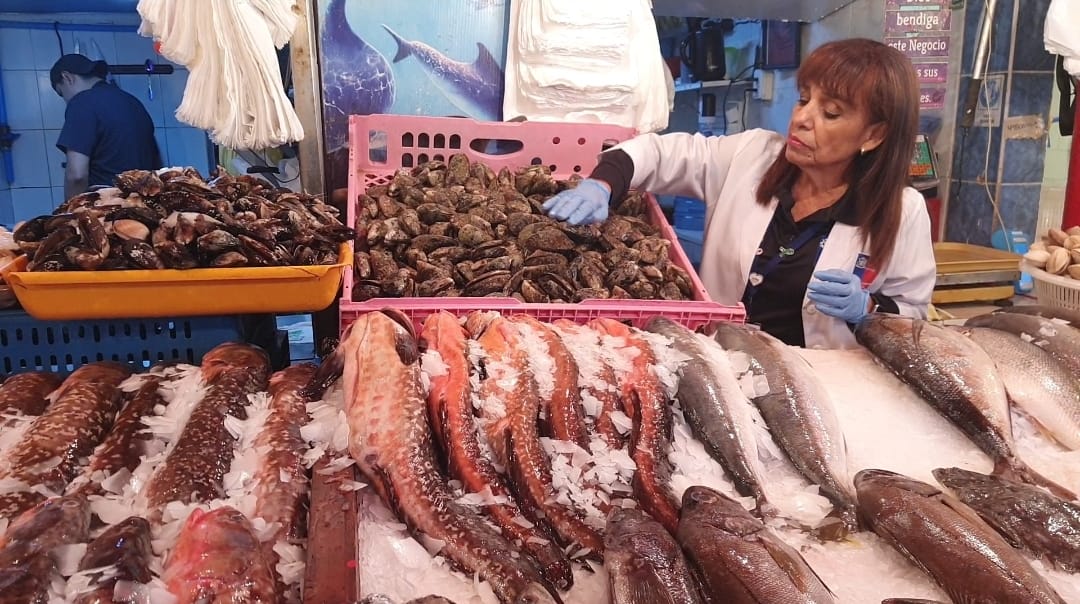 Intenso programa de fiscalización y capacitación preventiva realiza Salud