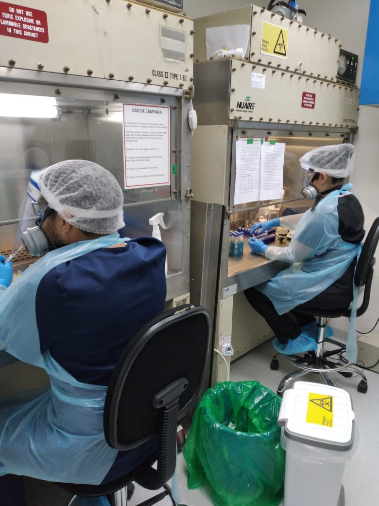 LABORATORIO DE VIROLOGÍA MOLECULAR DE LA UA HA ANALIZADO 4.400 MUESTRAS PCR A MENOS DE DOS MESES DE INICIAR LAS PRUEBAS