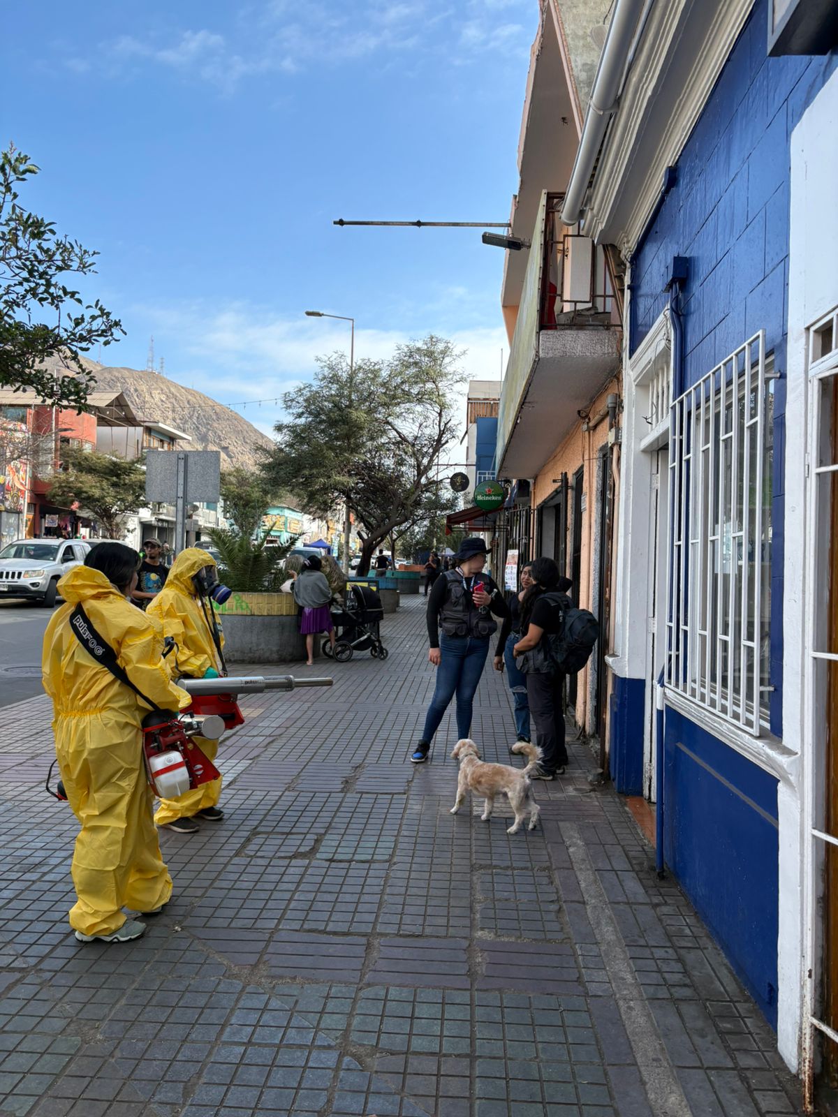 Inspeccionarán 1.800 viviendas en Tocopilla