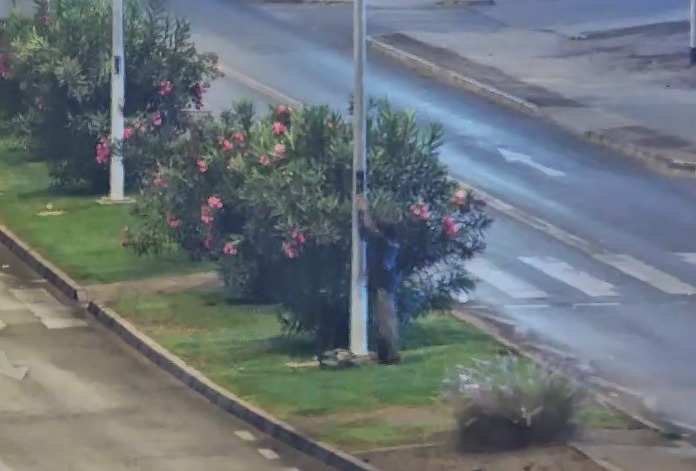 Detienen a individuo por robo de cables desde alumbrado público