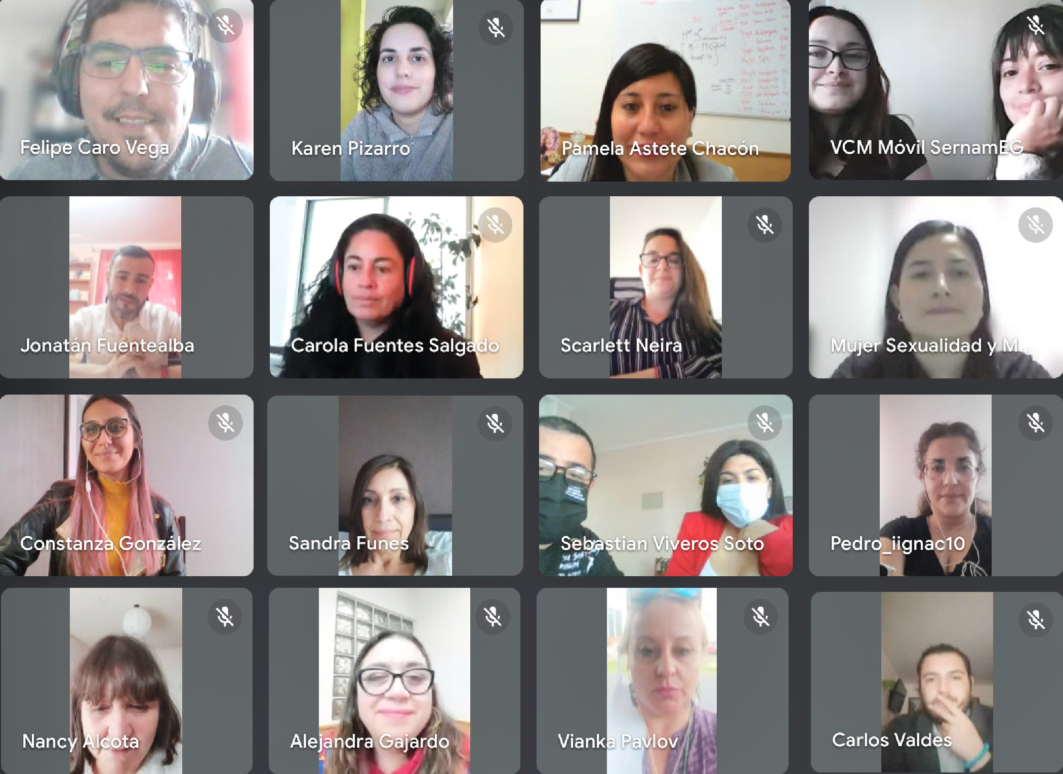Diversas unidades de violencia del SernamEG informaron la ayuda que prestan a mujeres