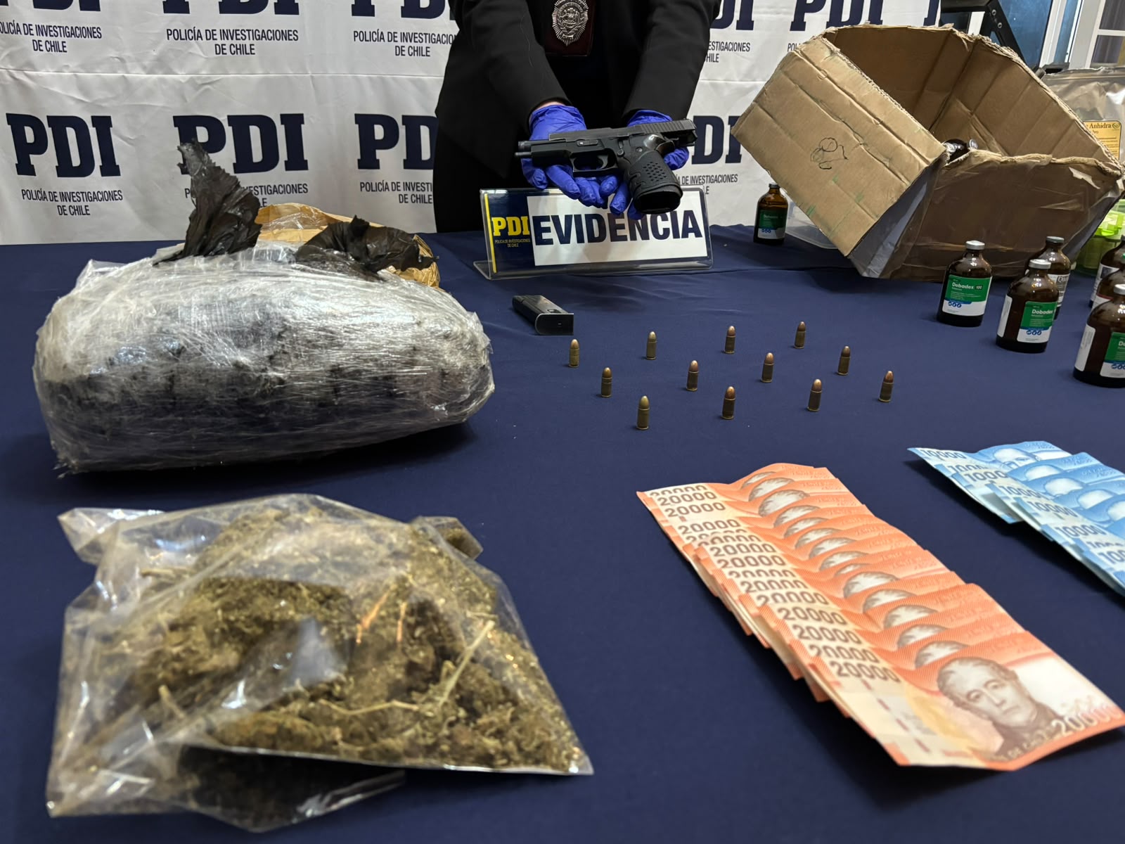 PDI incauta arma de fuego y municiones en operativo contra foco de tráfico de drogas