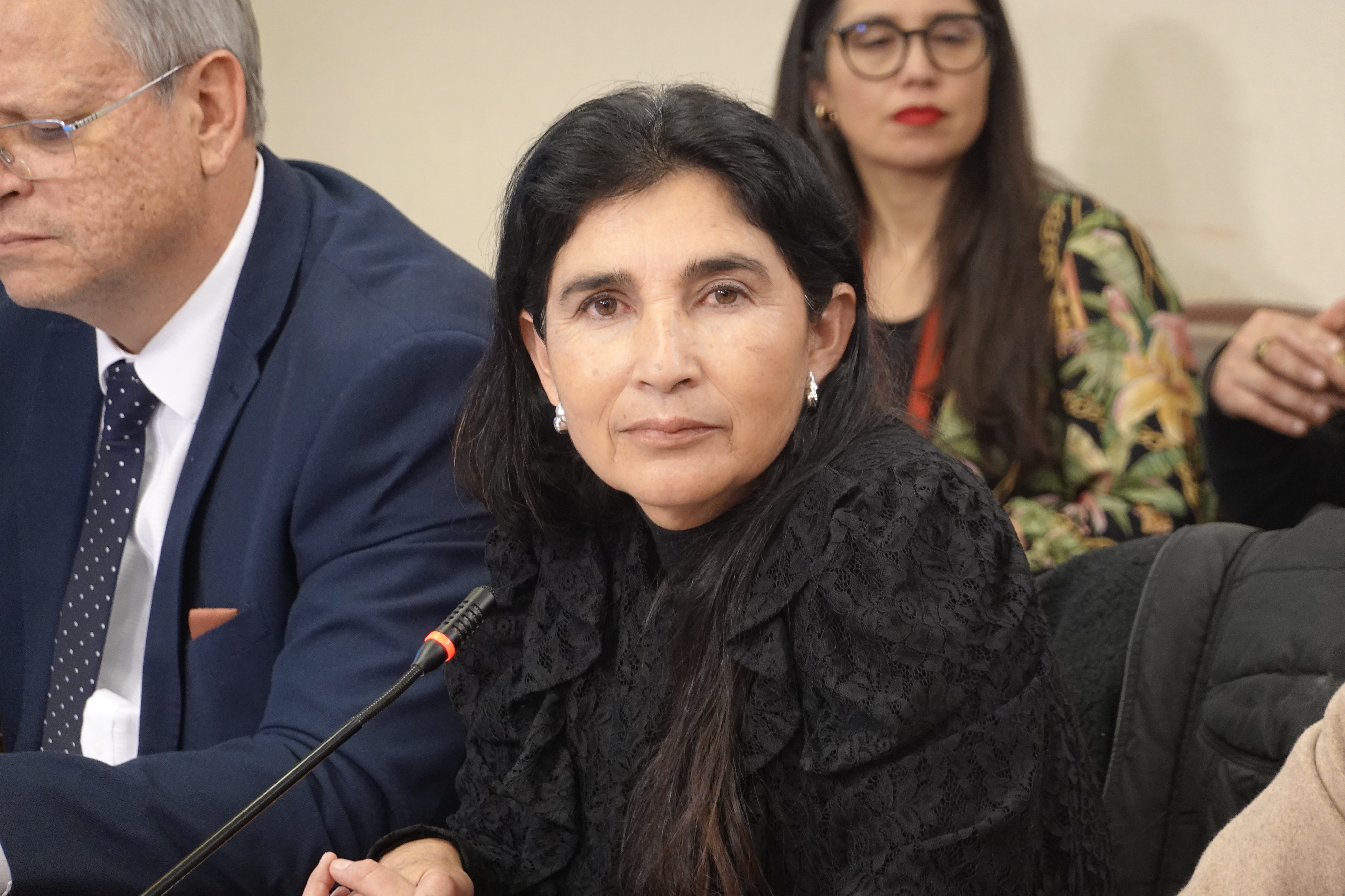 Diputada Ahumada propone uso provisorio del exHospital Regional para enfrentar colapso en salud pública