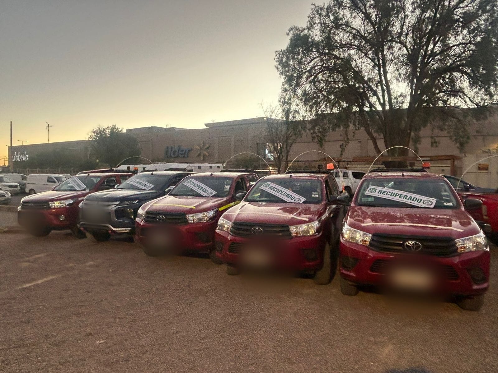 Desarticulan organización criminal dedicada al robo de vehículos