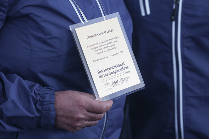 Más rápido y económico: Lanzan plataforma para constituir cooperativas de manera online