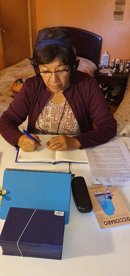 “EN SAN PEDRO DE ATACAMA SE SIGUE ESPERANDO QUE ALGUIEN REACCIONE O QUE SE DÉ UNA PLANIFICACIÓN CLARA PARA LAS COMUNIDADES”