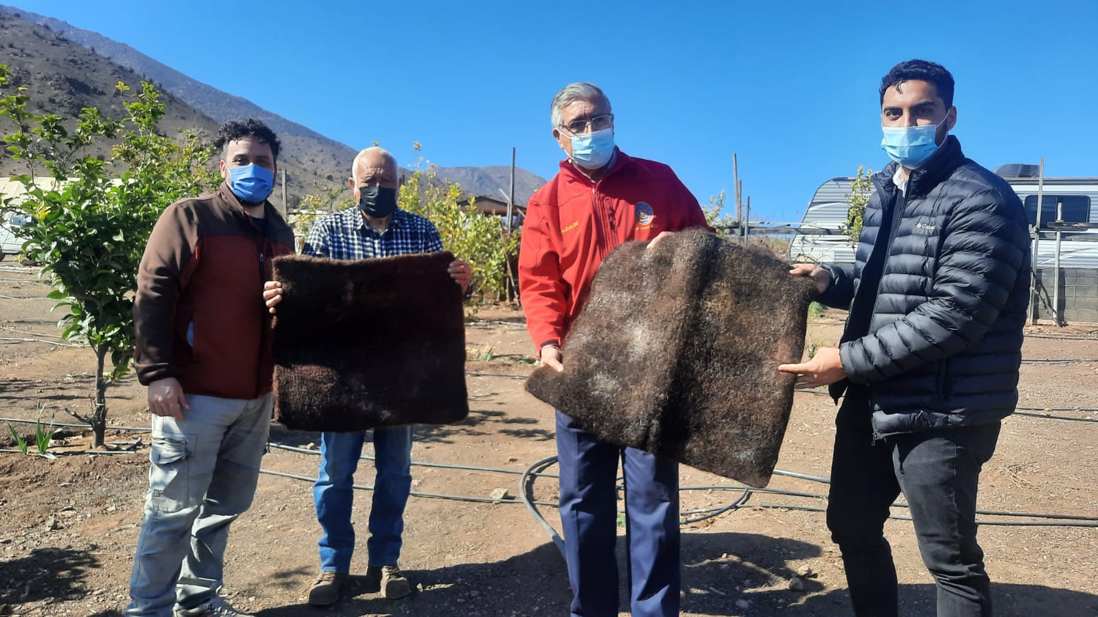 Alfombras de pelo para ahorro hídrico potenciarán la agricultura en el desierto