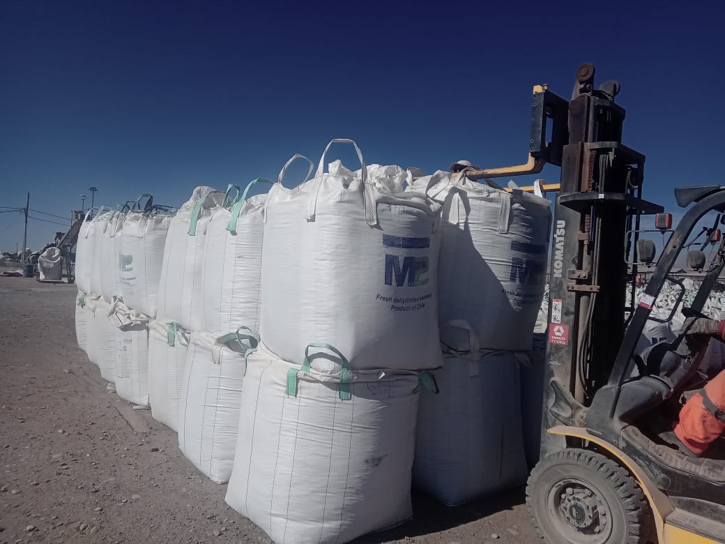 Fiscalización de Sernapesca detectó sobreproducción de huiro negro en planta de Taltal