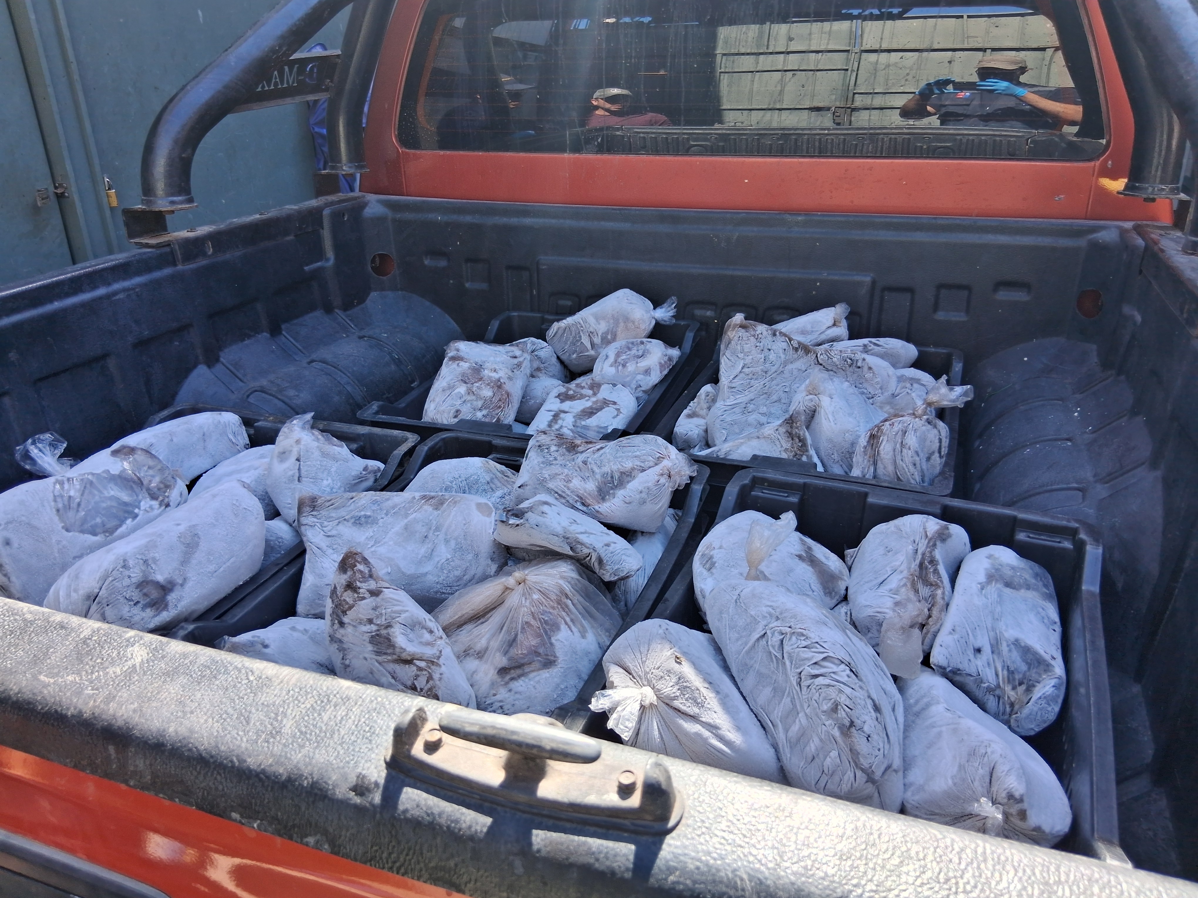 Incautan 964 kilos de pulpo del norte sin acreditación de origen legal en Taltal