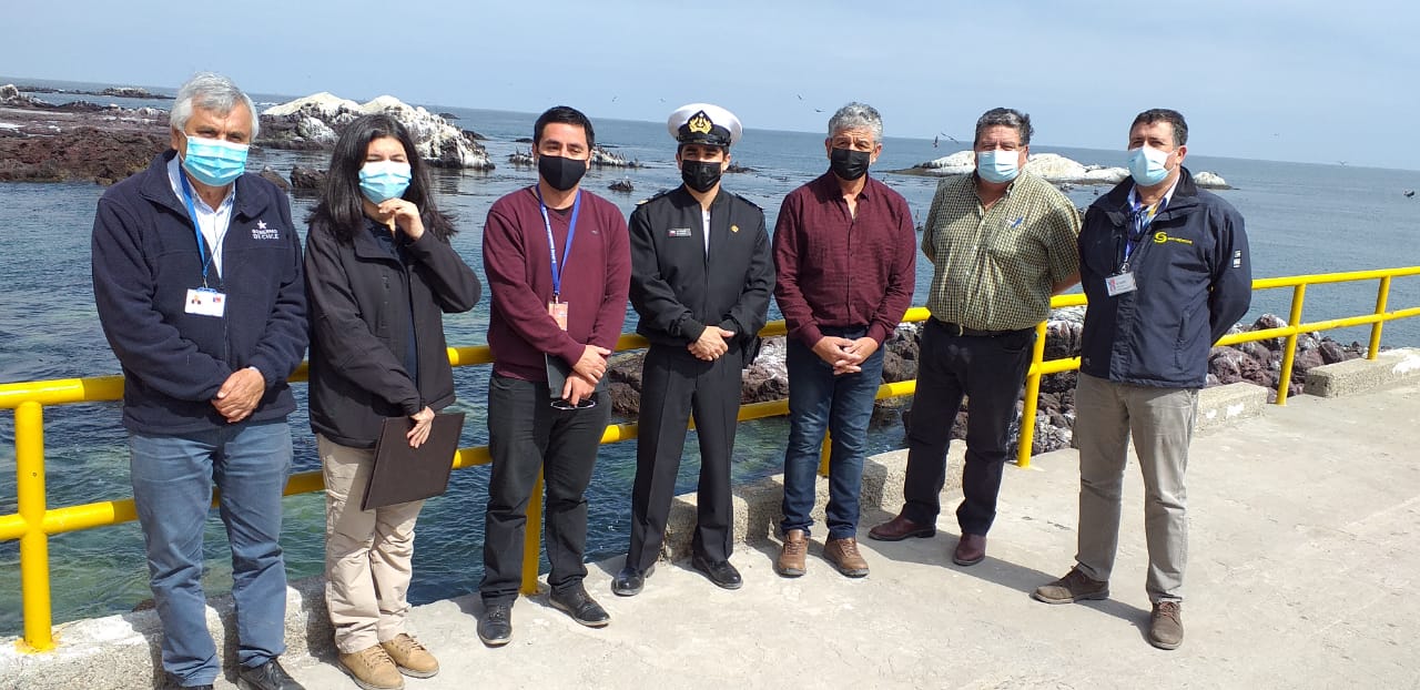 Ley de Caletas: Sernapesca recibe destinación de caleta Punta Arenas