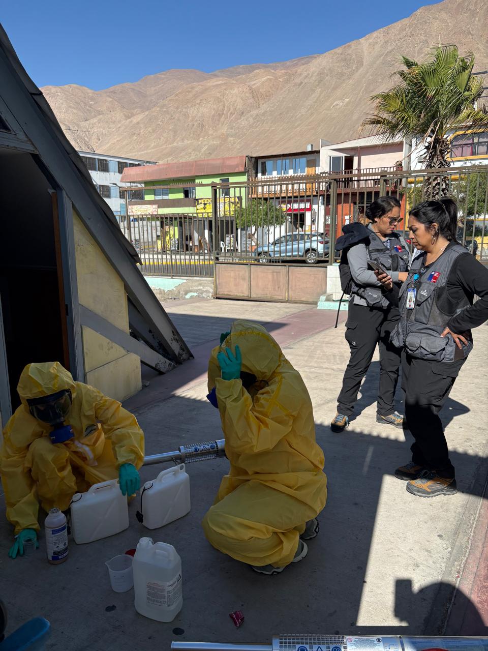 Alerta Aedes aegypti: Salud intensifica inspecciones y fumigaciones en Tocopilla