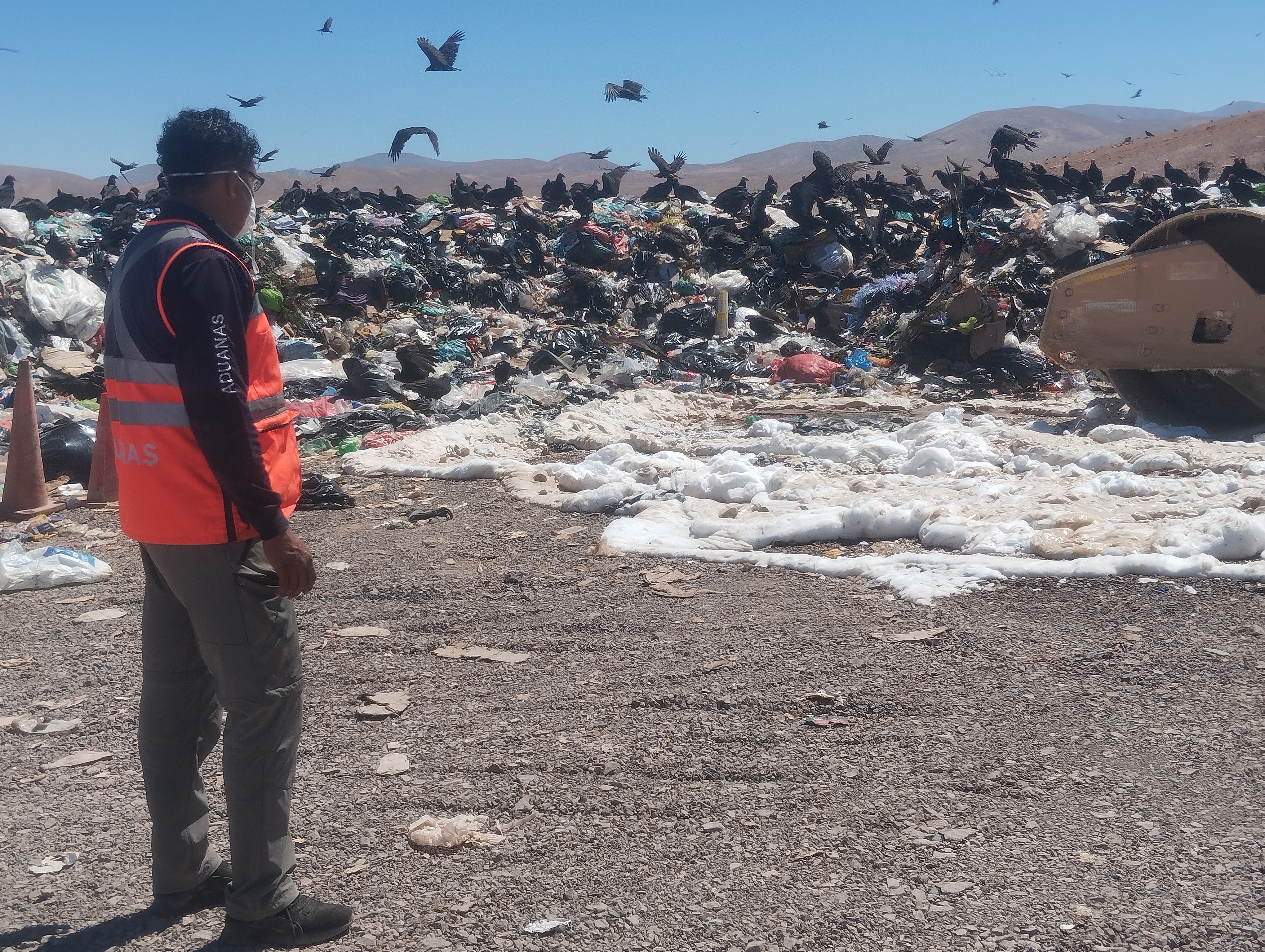 En Tocopilla Aduanas destruye 1.160 kilos de productos alimenticios incautados
